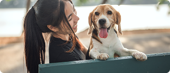 Image of dog after a walk